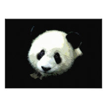Panda Bear Invitation
