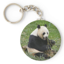 Panda Bear Keychains