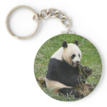 Panda Bear keychains