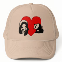 Panda Bear Love