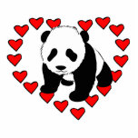 Panda Bear Love photo sculptures
