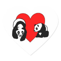 Panda Bear Love