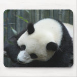 Panda Bear Mouse Pad mousepads