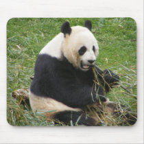 Panda Bear Mouse Mat