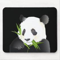 Panda Bear