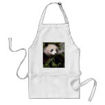 PANDA BEAR PHOTO aprons