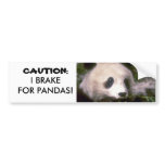 PANDA BEAR PHOTO bumper stickers