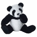 Panda bear photo cut out
