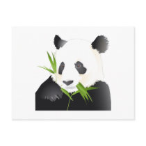 Panda Bear