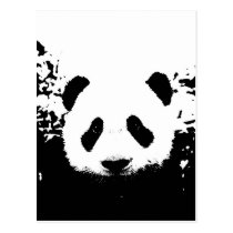 Panda Bear postcards