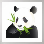 Panda Bear Poster