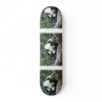 Panda Bear Skateboard