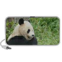 Panda Bear Speakers