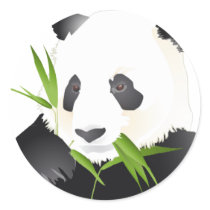 Panda Bear