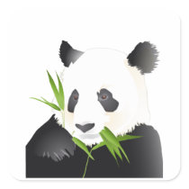 Panda Bear