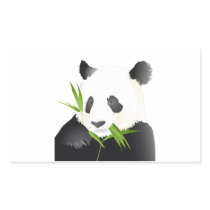 Panda Bear