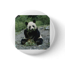 Panda Button
