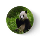 Panda buttons