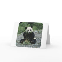 Panda Greeting Cards