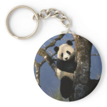 Panda Climber Key Chain