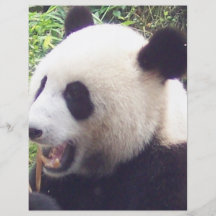 Panda Custom Flyer