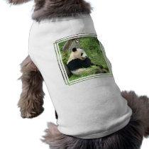 Panda Dog Shirt