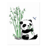 Panda Eating Bamboo Post Card