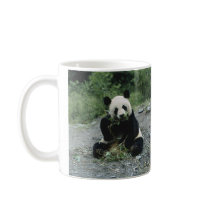 Panda Eating Mug