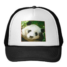 Panda Face Mesh Hats