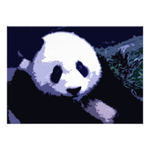 Panda Face Pop Art Invitation