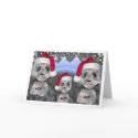 Panda Family Christmas cards
