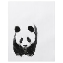 Panda Flyer
