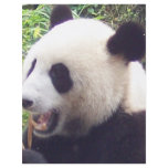 Panda flyers