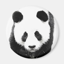 Panda Fridge Magnets