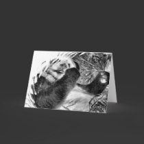 Panda Hug B&W Greeting Card