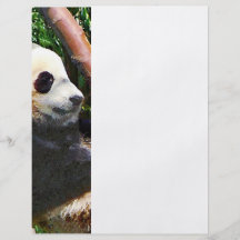 Panda in Tree Full Color Flyer