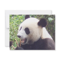 Panda Invitations