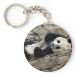 panda key chain keychains