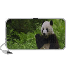 Panda Laptop Speakers