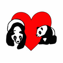 Panda Love