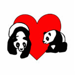 Panda Love photo sculptures