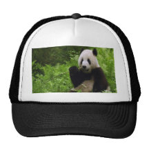 Panda Mesh Hat