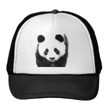 Panda Mesh Hats
