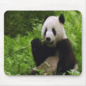 Panda mousepads