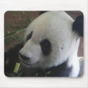 Panda mousepad