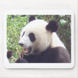 Panda mousepads
