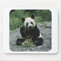 Panda Mousepads