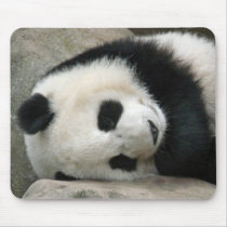 Panda Mouse Pads