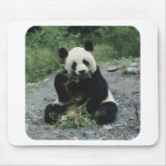 Panda Mousepads