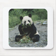 Panda Mousepads